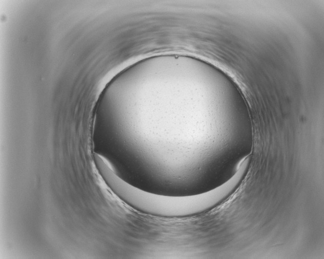 X0000086931534200705071340