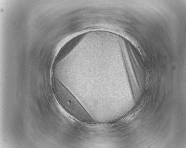 X0000086931535200705071340