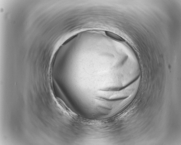 X0000086931536200705071340