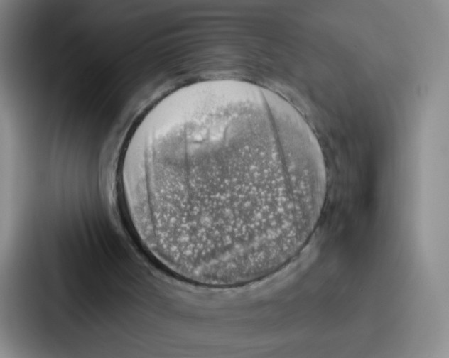 X0000086930002200705141751