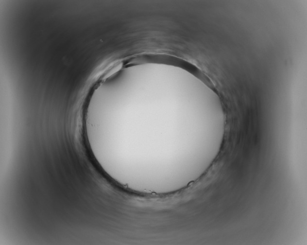 X0000086930005200705141751