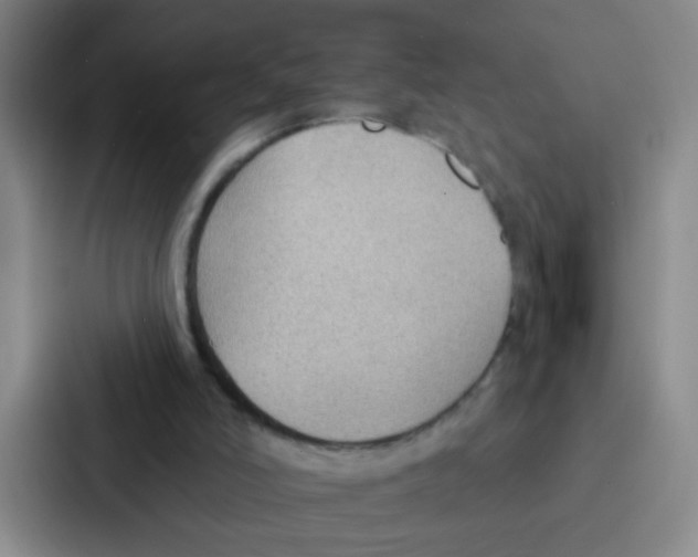 X0000086930006200705141751