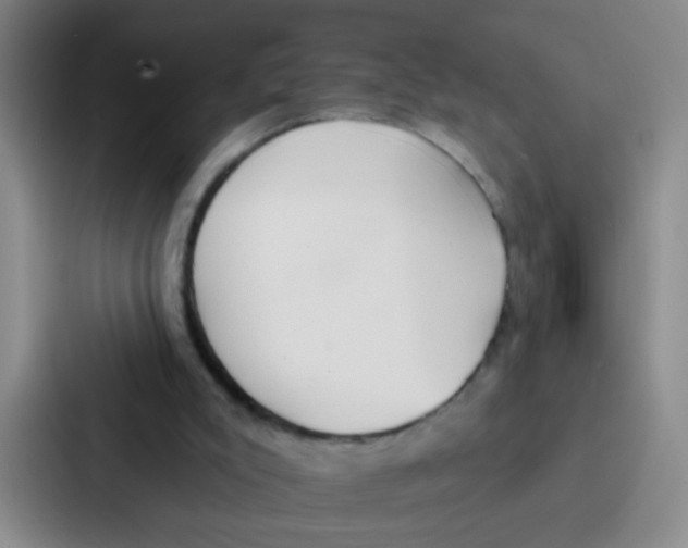 X0000086930007200705141751