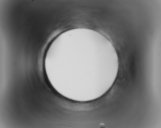 X0000086930008200705141751