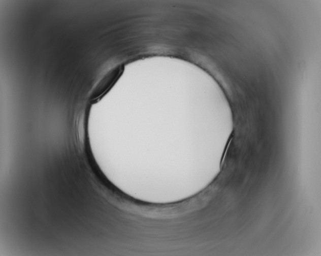 X0000086930011200705141751