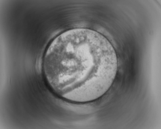 X0000086930012200705141751