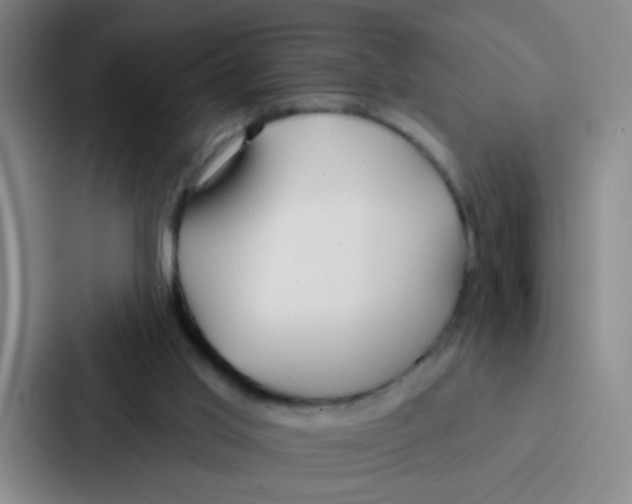 X0000086930013200705141751