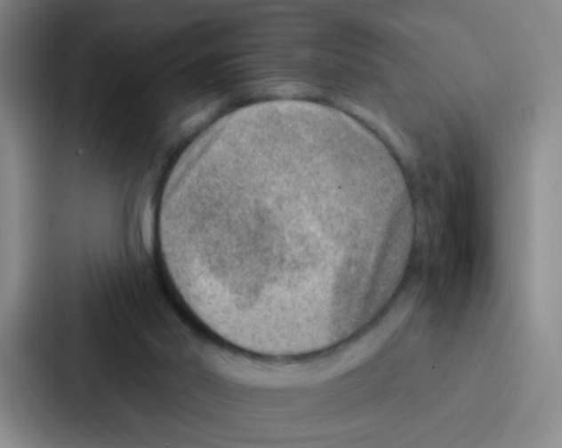 X0000086930014200705141751