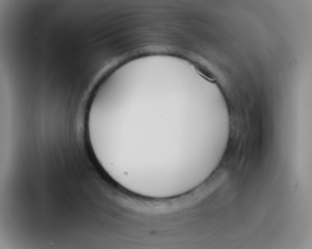 X0000086930015200705141751