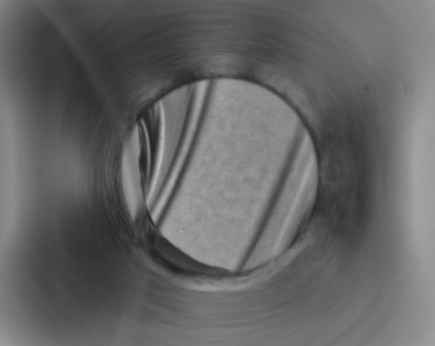 X0000086930017200705141751