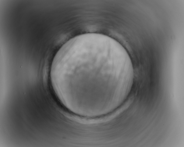 X0000086930018200705141751