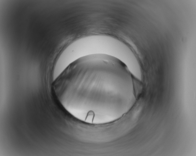 X0000086930019200705141751