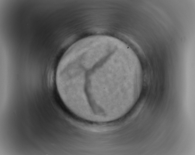 X0000086930024200705141751