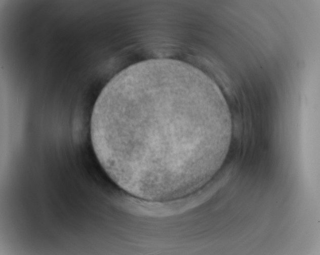 X0000086930030200705141751