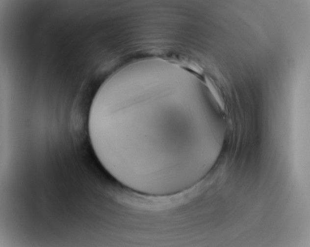 X0000086930031200705141751