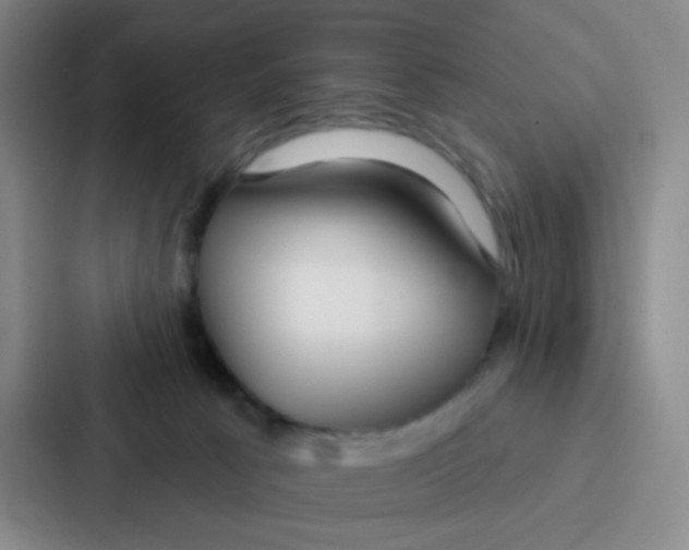 X0000086930033200705141751