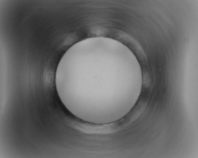 X0000086930036200705141751