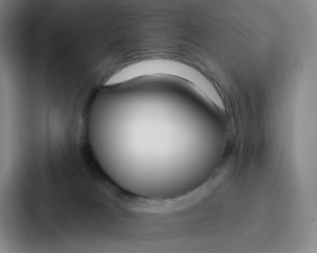 X0000086930037200705141751