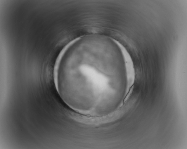 X0000086930043200705141751