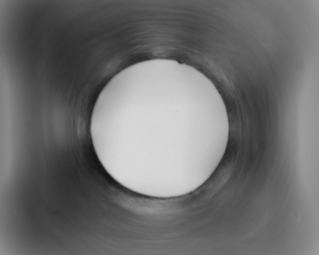 X0000086930044200705141751