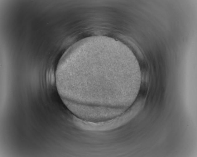 X0000086930046200705141751