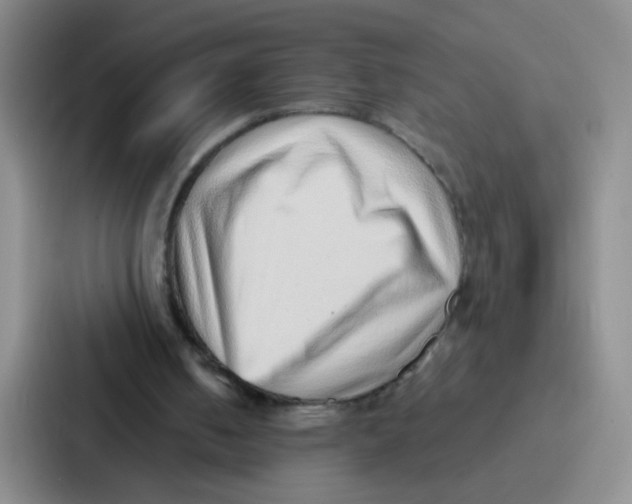 X0000086930050200705141750