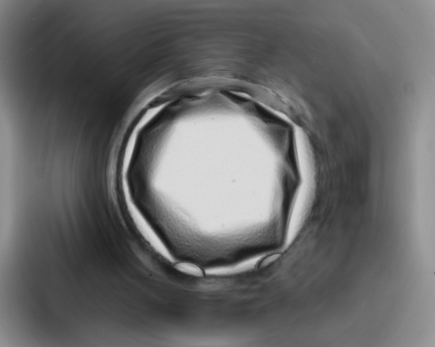 X0000086930051200705141750