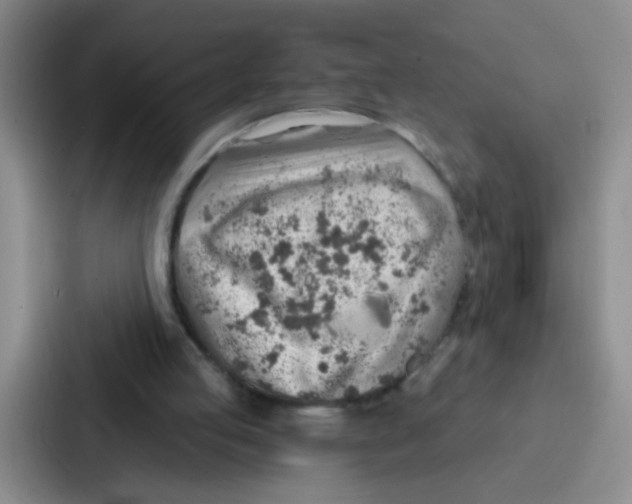 X0000086930053200705141750