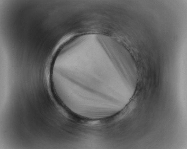 X0000086930054200705141750