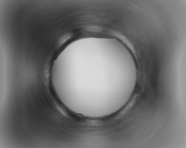 X0000086930057200705141750