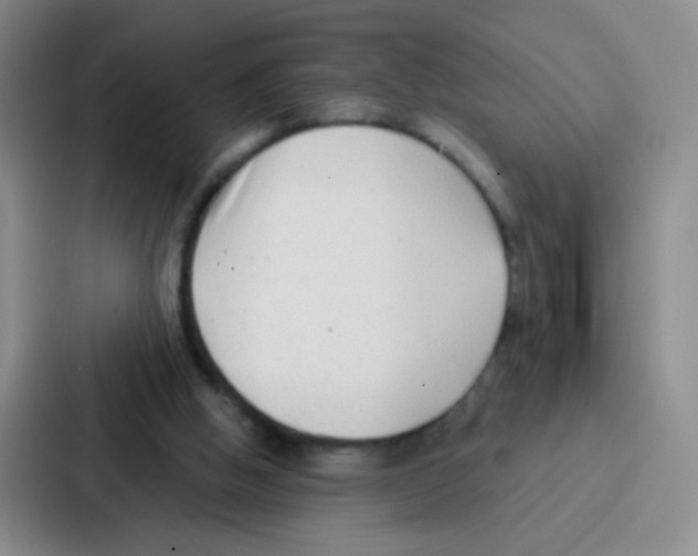 X0000086930058200705141750