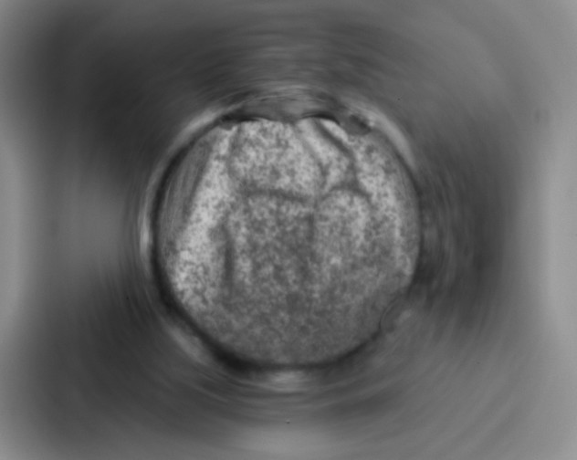 X0000086930059200705141750