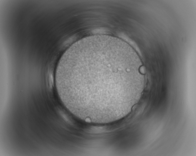 X0000086930061200705141750