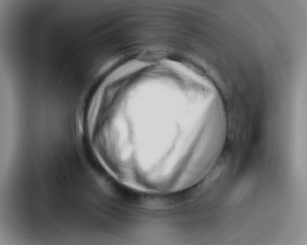 X0000086930062200705141750