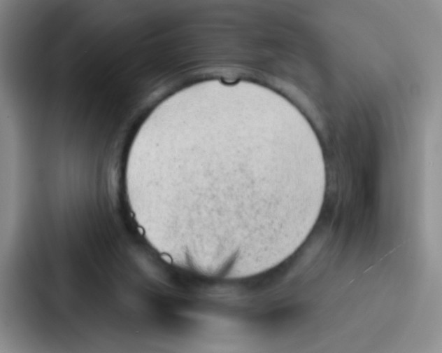 X0000086930063200705141750