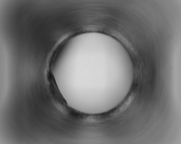 X0000086930064200705141750