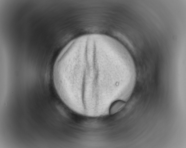 X0000086930065200705141750