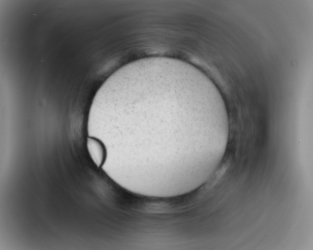 X0000086930066200705141750