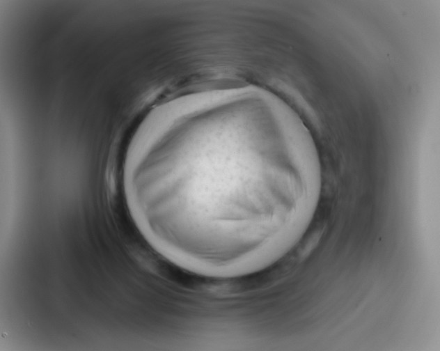 X0000086930068200705141750