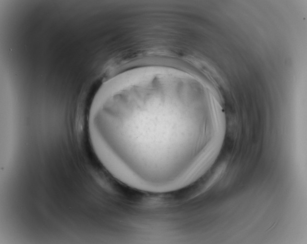 X0000086930072200705141750