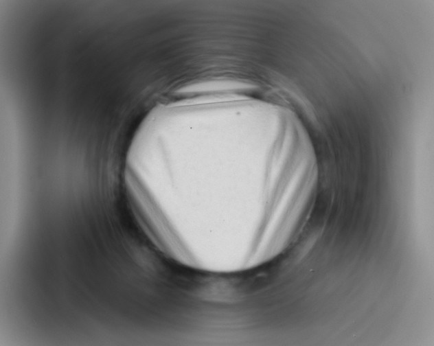 X0000086930073200705141750