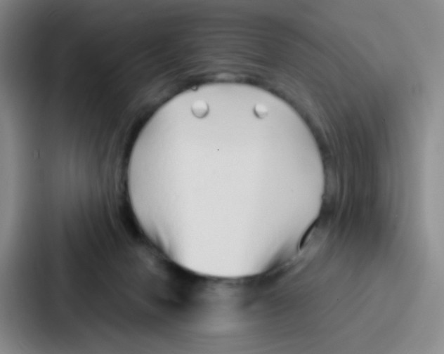 X0000086930078200705141751