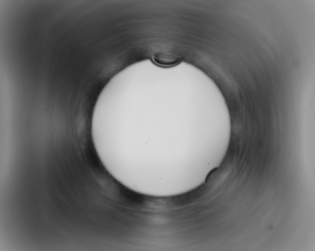 X0000086930079200705141751