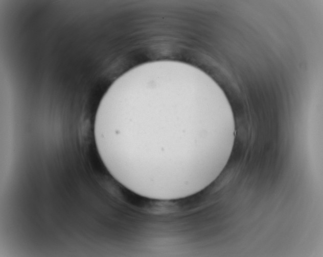 X0000086930087200705141751