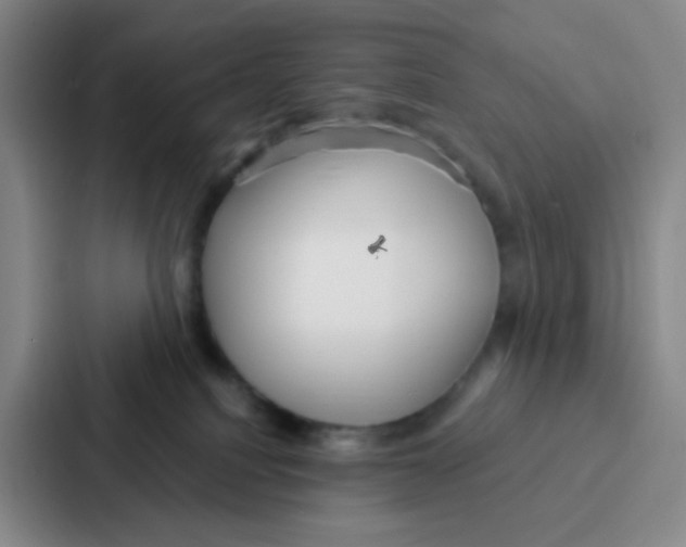 X0000086930088200705141751