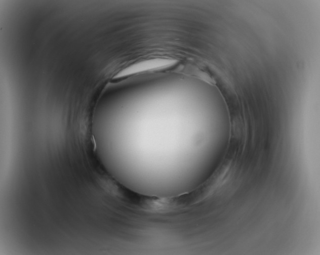 X0000086930092200705141751