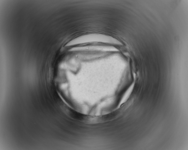 X0000086930093200705141751