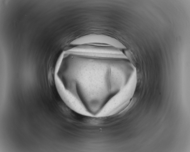 X0000086930094200705141751