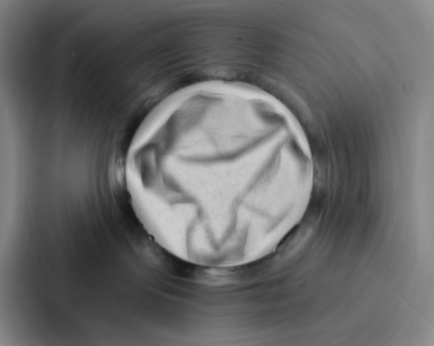 X0000086930095200705141751