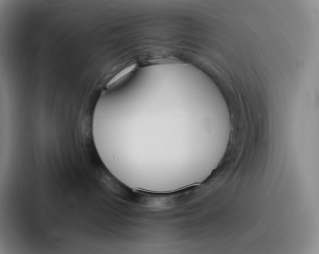 X0000086930096200705141751